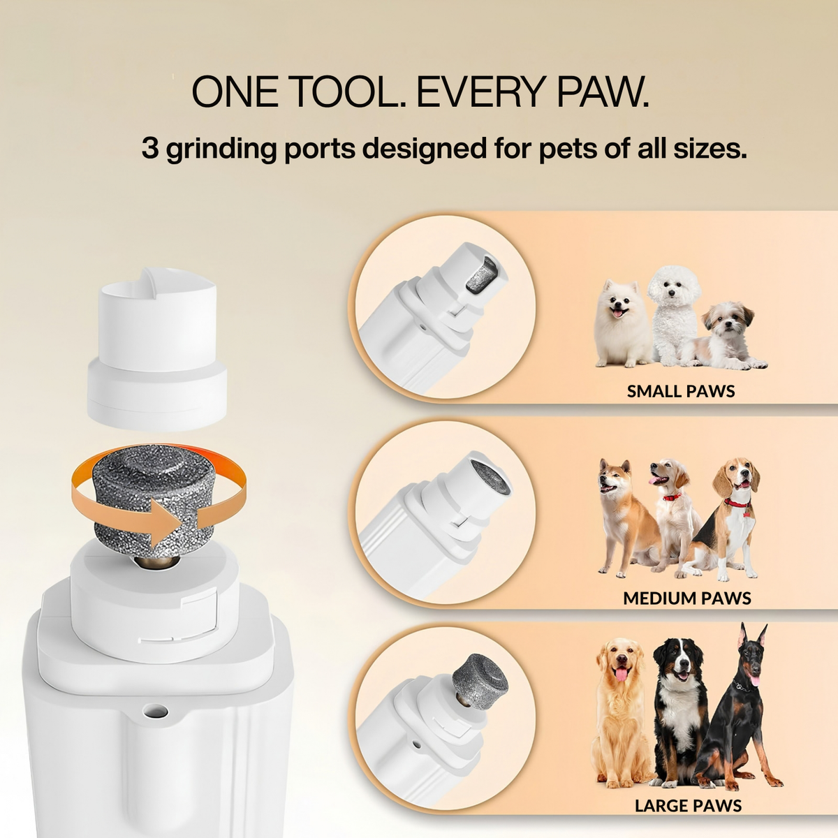 5 Pcs Dog Nail Scratch Board Sandpaper Replacement, Durable Pet Claw Care