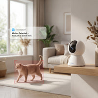 Petora™ Smart Automatic Real-Time Camera
